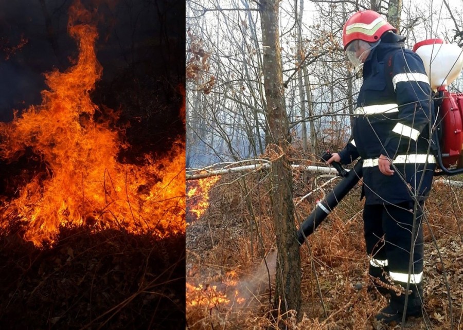 ISU Arad: Renunțați la curățarea pășunilor prin incendiere!