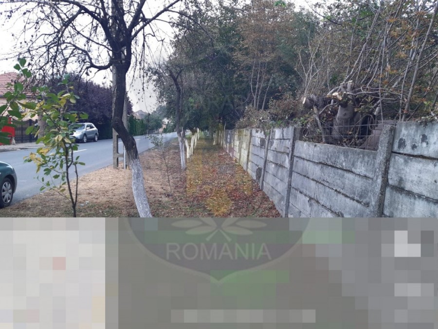 Care este valoarea amenzilor date de Poliția Locală șoferilor care au parcat pe spații verzi și proprietarilor care nu-și îngrijesc terenurile (FOTO)