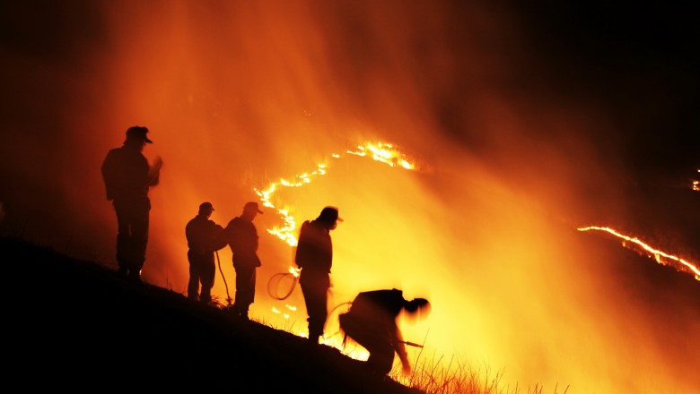 Semnele vitale ale Planetei au ajuns deja într-un punct fără întoarcere