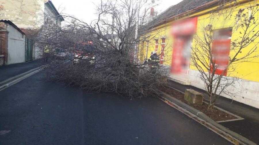 Bilanțul misiunilor pompierilor arădeni din acest sfârșit de săptămână