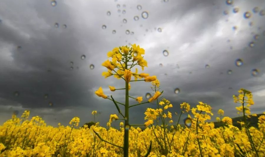 Fenomene meteo violente în România - zonele lovite de potop, cât scad temperaturile