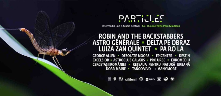 Particles anunță programul complet pentru cele trei zile de festival (14-16 iunie, Parcul Micălaca din Arad)