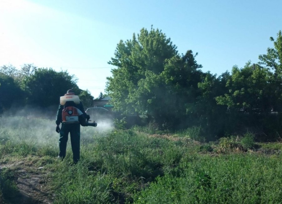 Când are loc în municipiu prima acțiune de dezinsecţie din acest an