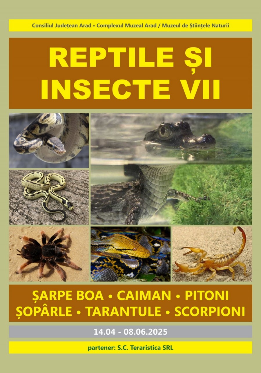 Expoziția „Reptile și Insecte Vii” se deschide la Complexul Muzeal Arad