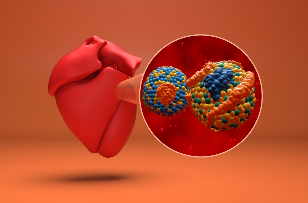Ce este lipoproteina A și cum influențează sănătatea cardiovasculară