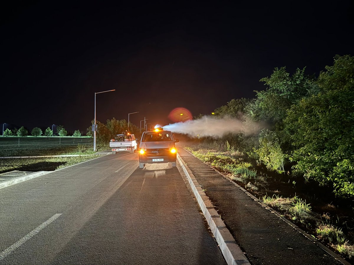 Când va avea loc o nouă acțiune de dezinsecție în municipiu
