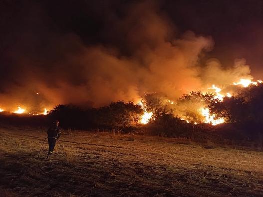  Incendiu în Ghioroc: flăcările au amenințat un atelier auto. Patru mașini dezafectate au fost distruse